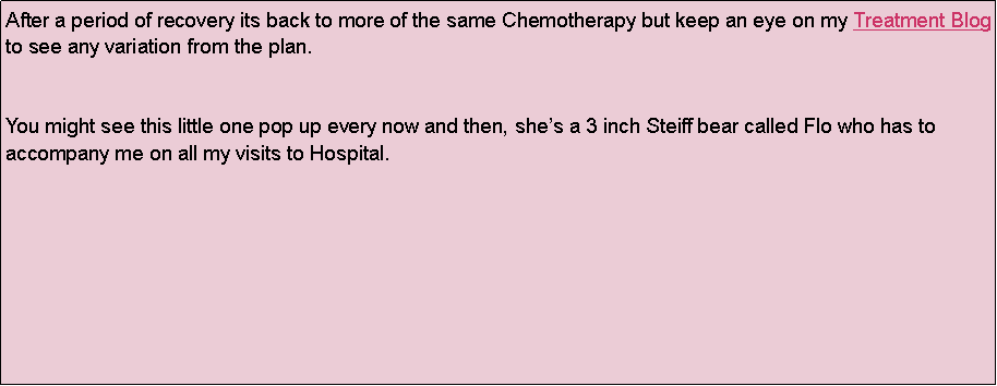 Text Box: After a period of recovery its back to more of the same Chemotherapy but keep an eye on my Treatment Blog to see any variation from the plan.You might see this little one pop up every now and then, shes a 3 inch Steiff bear called Flo who has to accompany me on all my visits to Hospital.